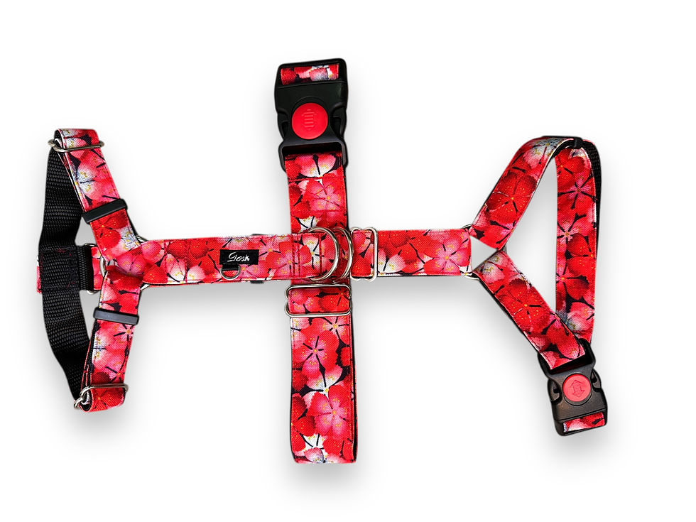 ARNÉS 3 PUNTOS SAKURA