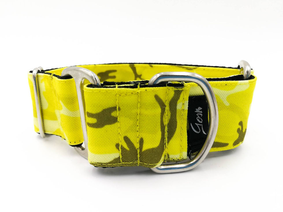 COLLAR CAMUFLAJE AMARILLO