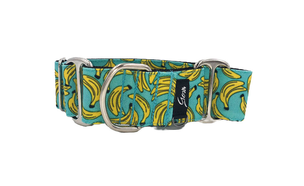 COLLAR BLUE BANANA
