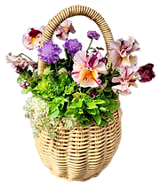 寄せ植え体験レッスンの作品例