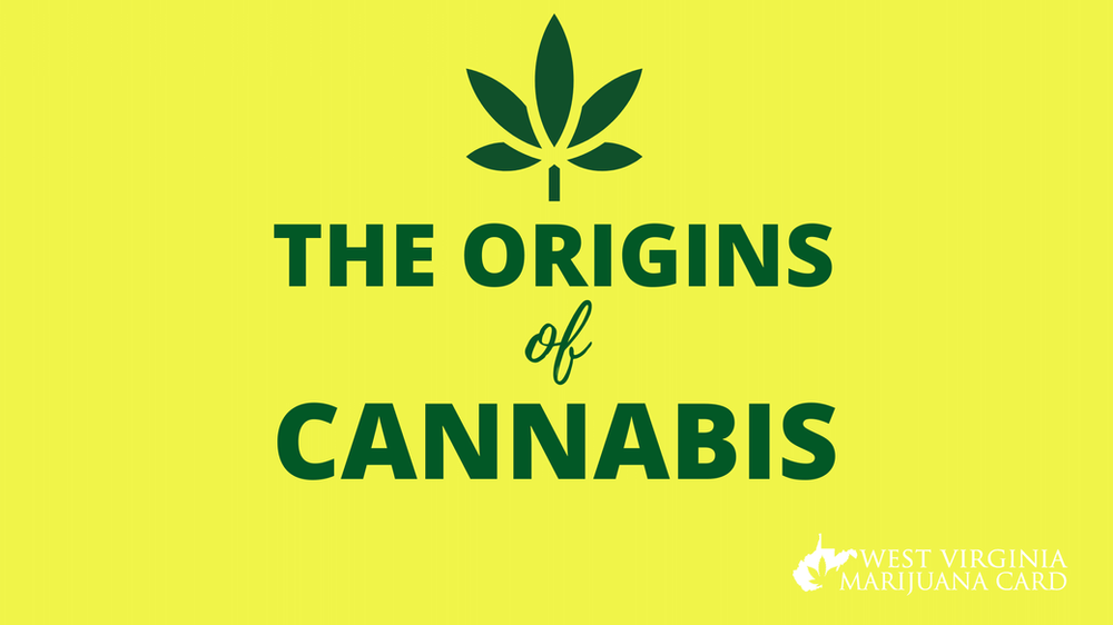 The Origins of Cannabis Where Did Marijuana Come From?
