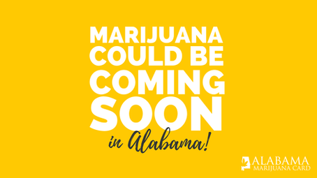 Medical Marijuana Could Be Coming To Alabama Sooner Than You Think!