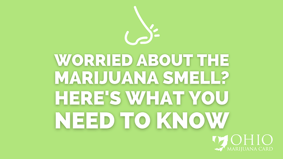 do thc vapes smell like weed Middle school students in possession of vaping device containing THC: On  February 24, two students at Mattawoman Middle School, ages 12 and 13, were  found to be in possession of a vape main image 1