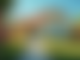 Boosting Curb Appeal Through Professional Exterior Painting