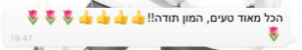 המלצה 3.PNG