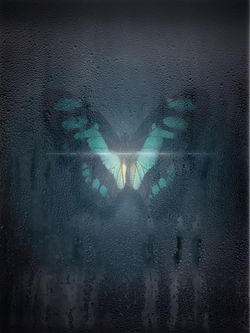 "Blue butterfly"