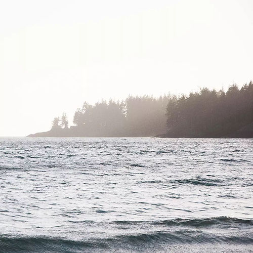 The Pacific ocean with coast line layred in pine trees.