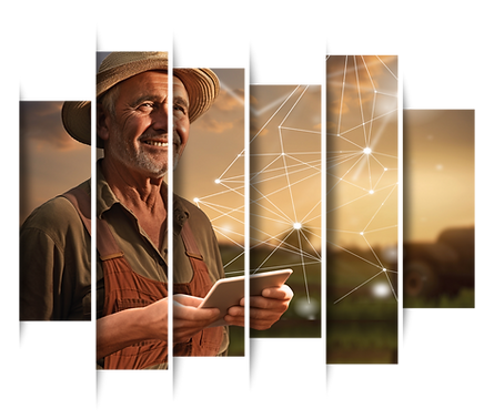 Hero Image - Our Vision - Koltiva.com