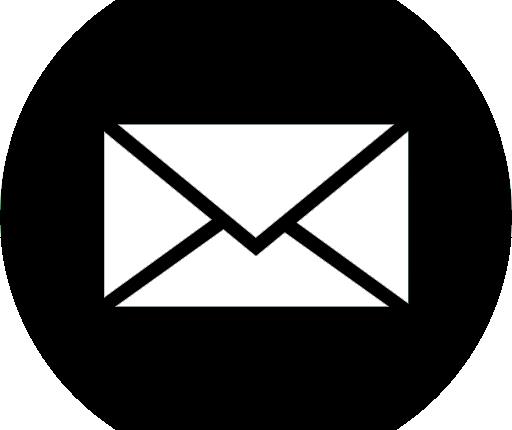 Send a follow up email to your visitors.