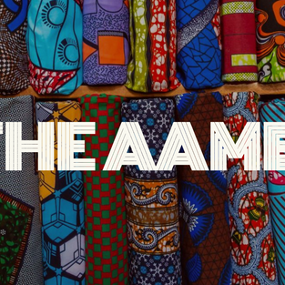 African American Museum of Beginnings