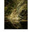 Thumbnail: Nudes in Nature 2021 Calendar