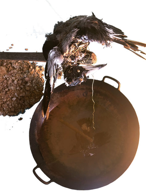 6_Australian Outback - ANDRE SPADARI