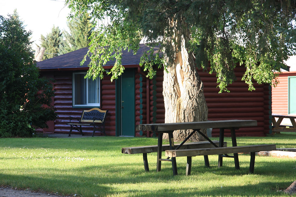 Log Cabin Z Bar Motel
