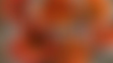 Students Let Their Inner Artist Shine in Art Club