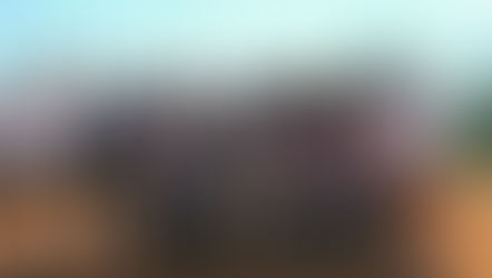 Softball Takes the Win; Region Champs