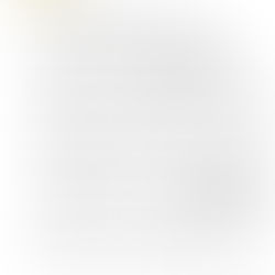 小學中文練習 Vol.17 六年級