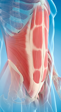 Reconstrucción de pared abdominal.png