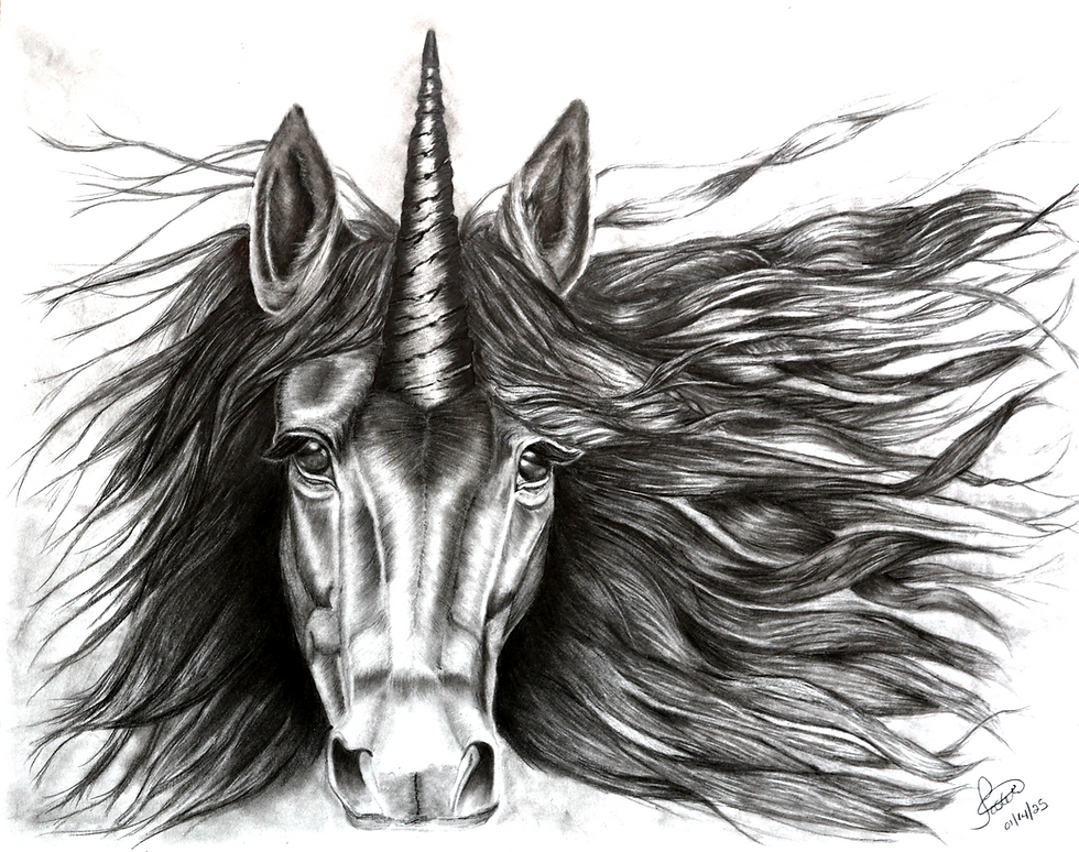 Welcome to Black Unicorn!