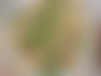 The ABC's of Healthy Eating