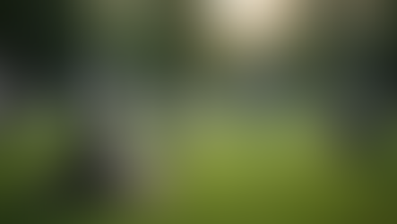 Funeral Pre Planning Guide: A Guide to Pre-Planning Your Funeral