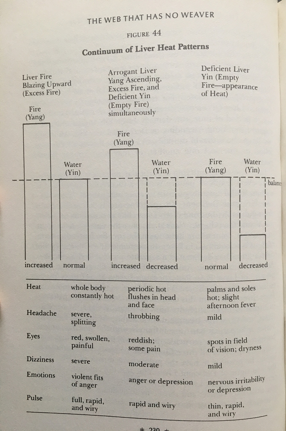 Liver Heat patterns