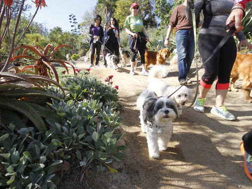 NEWS: 5K Paw Walk in the Garden
