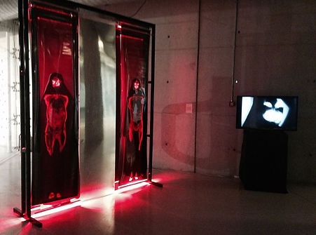 11134167_862992170434337_185727742104387