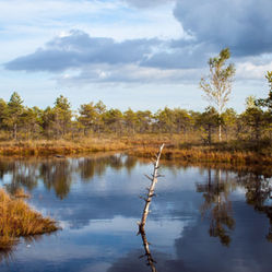 Some West Virginia Deadlines Postponed Due to Severe Storms