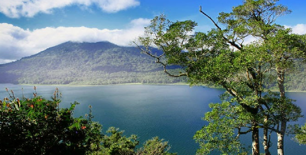 Tamblingan Forest Bali