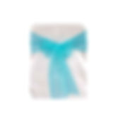 Tantelising Turquoise