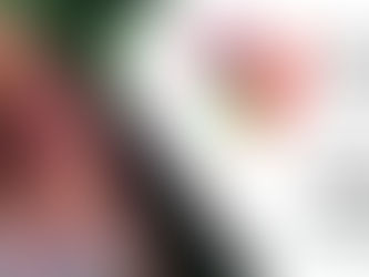 Alunos da APAE de Vitória visitam Assembleia