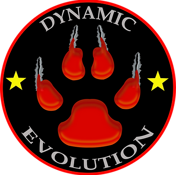 Dynamic Evolution Shooting Black PNG.png.webp