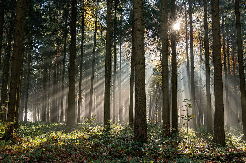 Die Sonne bricht durch