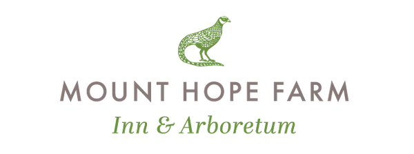 logo_MHF.png.webp