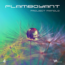 20260102 Flamboyant artwork copie.png
