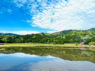 水を張ると、景色が変わる。