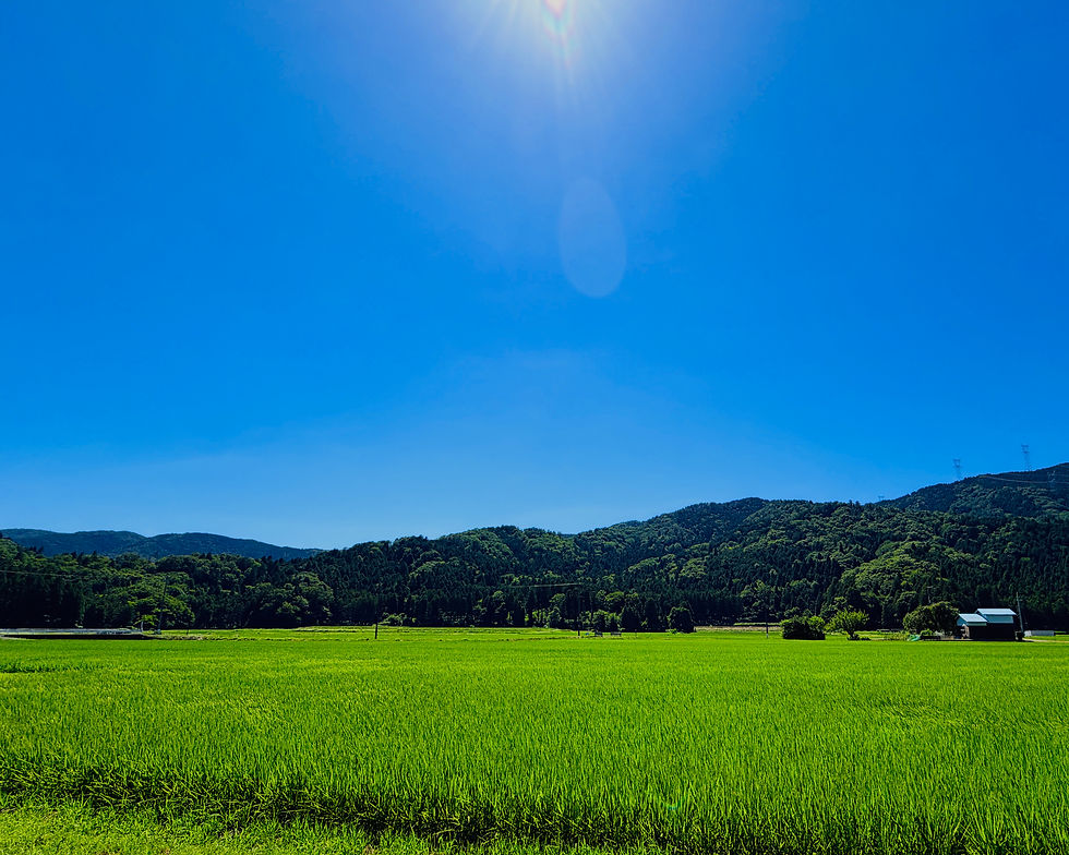 Beyond the Summer Sky