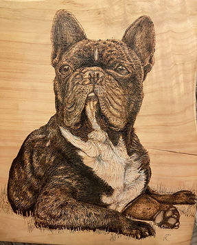 dog pyrography portrait commission