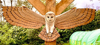 3d owl carving