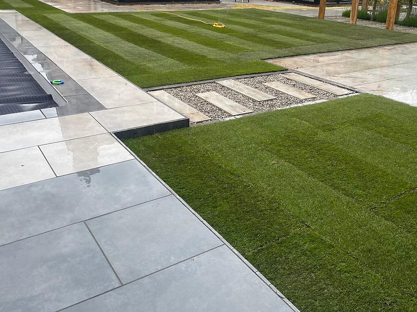 landscaped garden with steps and green grass