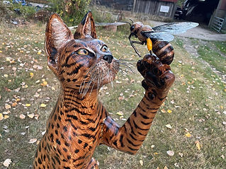 wild cat holding a bee