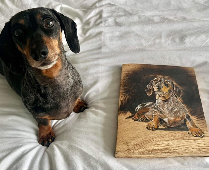 dachshund with a bespoke portrait of himself