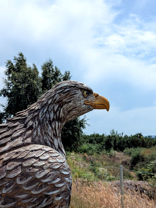 close up of wood carved eagle head