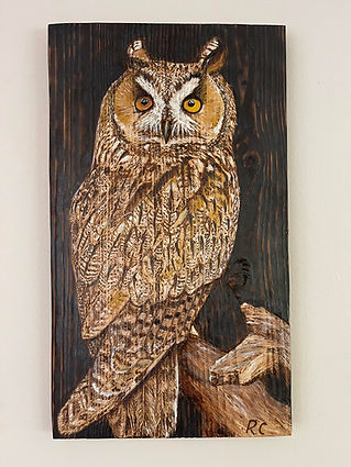 pyrography owl art piece
