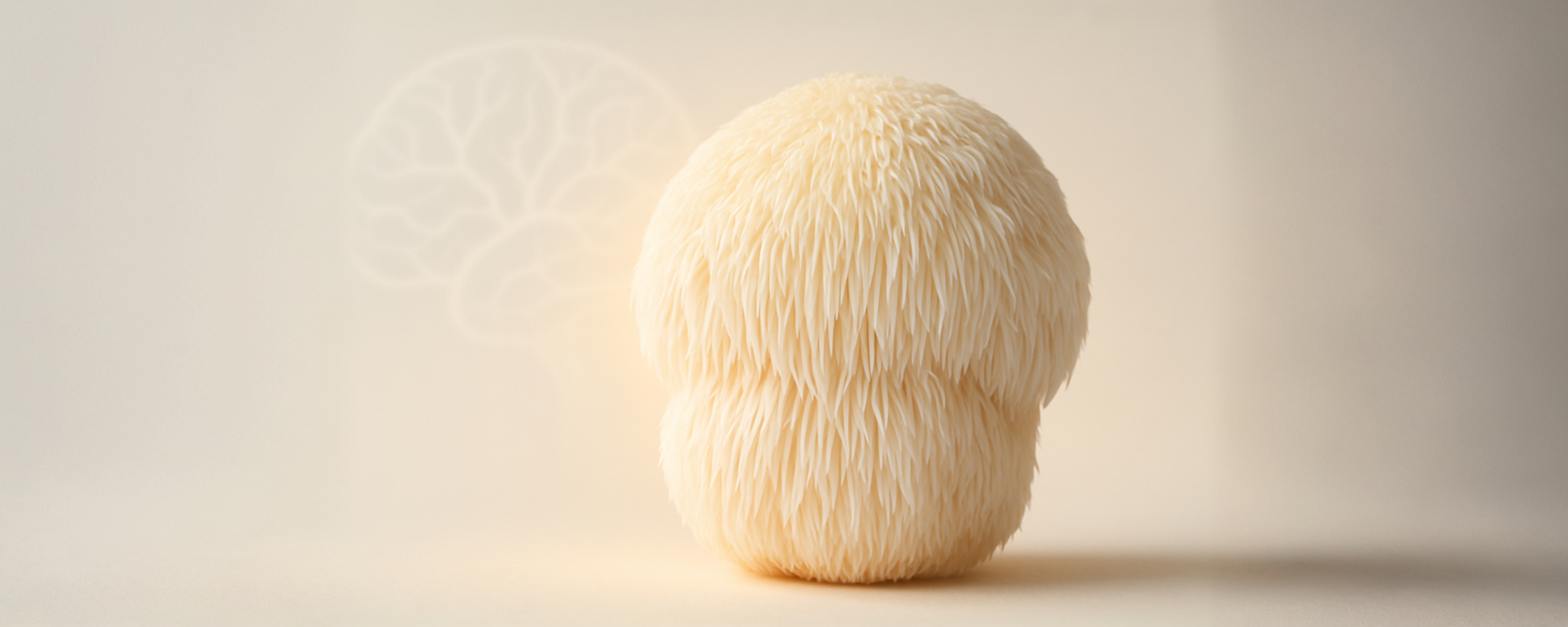 Portada — Hongo Melena de León: ¿Para qué sirve y cuáles son sus beneficios para el cerebro?