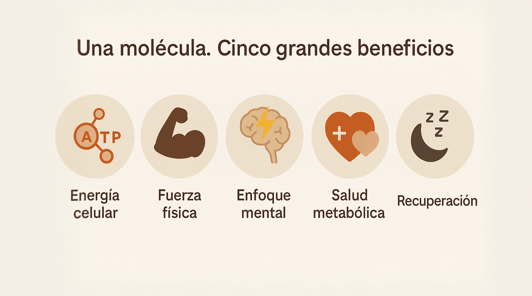 Infografía visual de cinco beneficios clave de la creatina: energía celular, fuerza física, enfoque mental, salud metabólica y recuperación. Suplementación natural con respaldo científico.