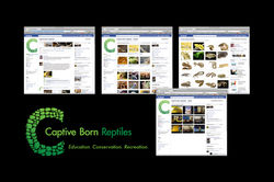 Captive Born Reptiles Facebook