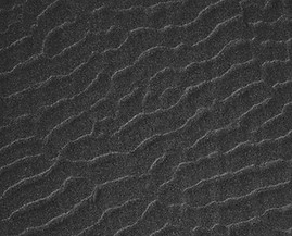 Grainy Texture