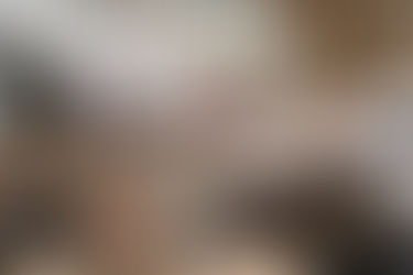 Taste of Nola in Arlington