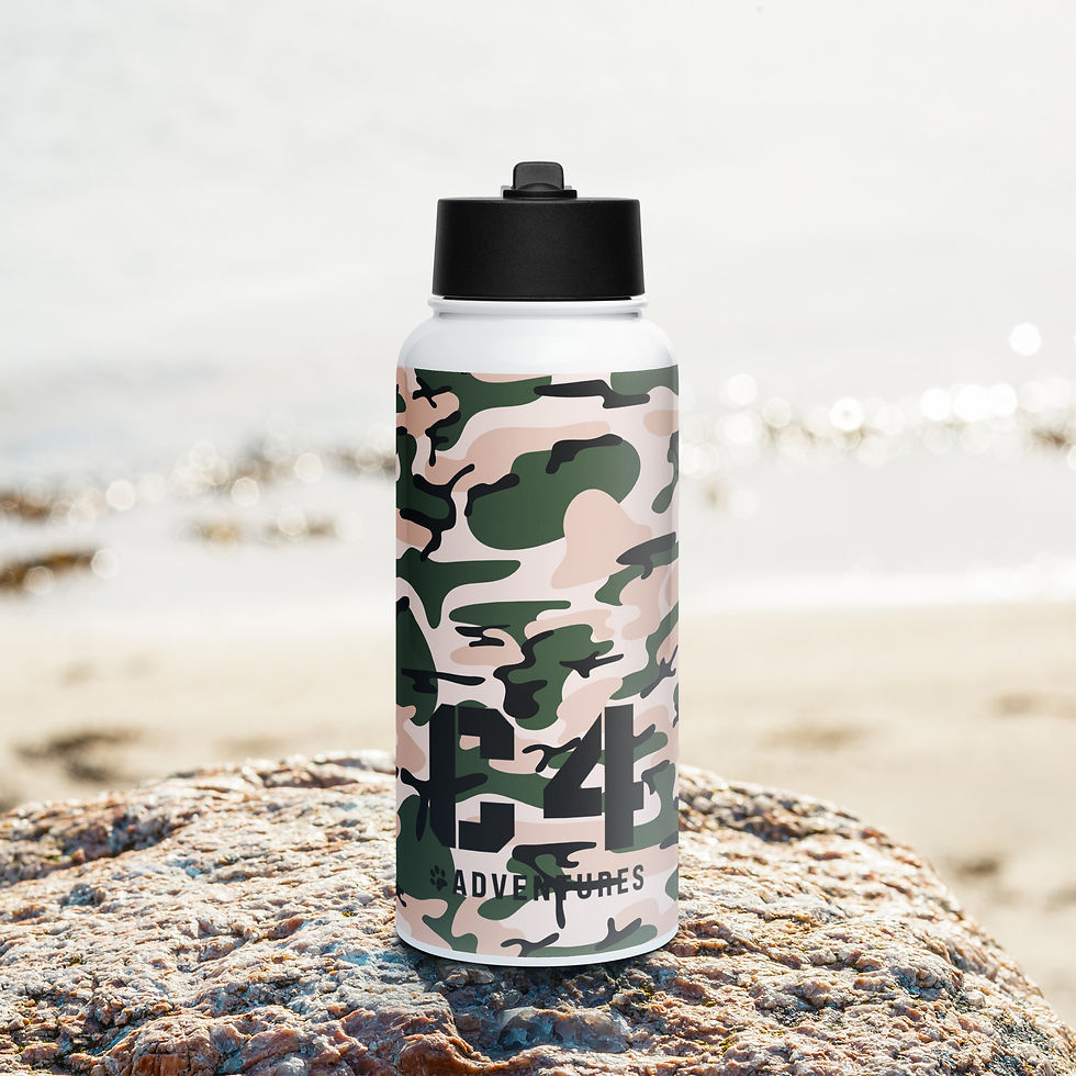 Gourde C4 acier inoxydable avec bouchon à paille